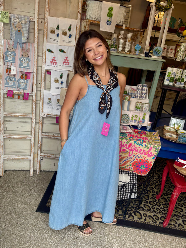 the lala denim dress