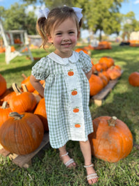 Sage Gingham Pumpkin Dress