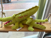 Alex the Alligator Tooth Fairy