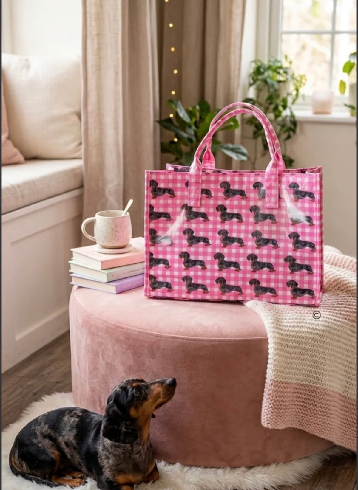The Chloe Pink Gingham Daushund Vinyl Tote Bag