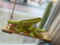 Alex the Alligator Tooth Fairy