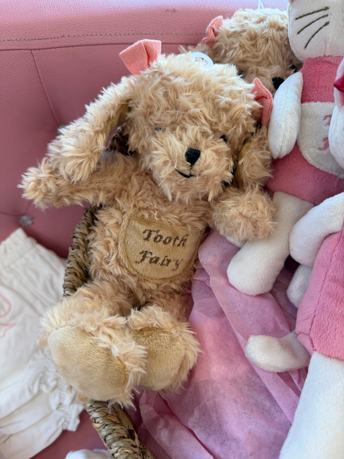 Maggie the Puppy Tooth Fairy