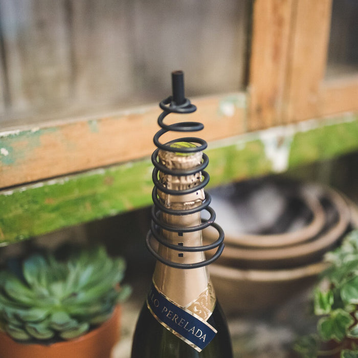Celebrate Every Day Bottle Topper